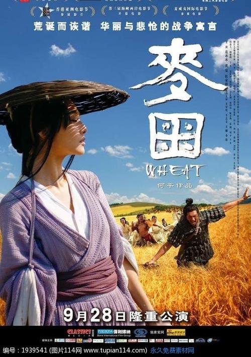 办理假套牌手续